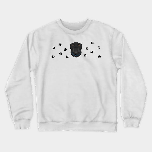 A Dog named Moose Crewneck Sweatshirt by jastinamor